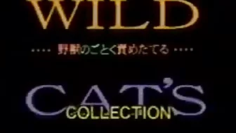 Saori Nanami - WILD CAT'S JAV Classic Vintage